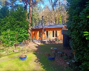 Gezellig terras bij Vakantiehuisje in Lochem, ideaal voor zomeravonden in Gelderland.