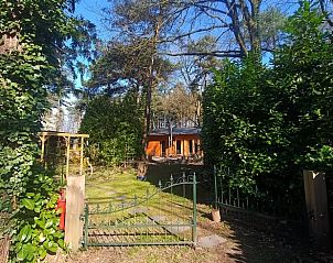 Rustgevende tuin rondom Vakantiehuisje in Lochem, ideaal voor natuurliefhebbers.
