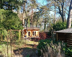 Bosrijke omgeving van Vakantiehuisje in Lochem, Achterhoek, voor wandelavonturen.