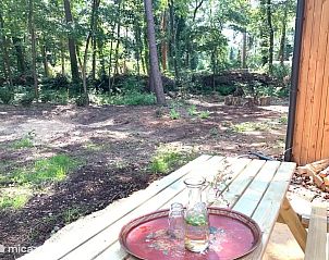 Unterkunft 2921117 - Ferienhaus Achterhoek - Ossenbeltsdijk
