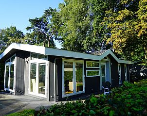 Hackfort Sauna 6 vakantiehuis in Lochem, Achterhoek omgeven door groene natuur en zonnig terras, perfect voor ontspanning in Gelderland.