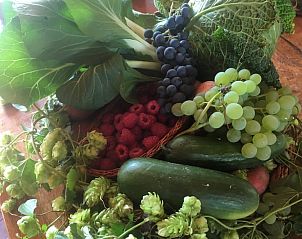 Verse lokale producten in Vakantiehuisje in Lochem, perfect voor een culinaire ervaring in de Achterhoek.