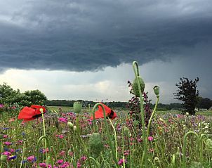 Dreigende wolken boven bloemenveld nabij Vakantiehuisje in Lochem, Achterhoek, voor een dramatisch landschap.