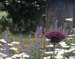 Kleurrijke bloementuin bij schuur van Vakantiehuisje in Lochem, ideaal voor natuurliefhebbers.
