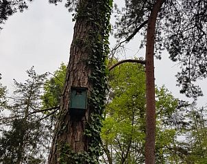 Unterkunft 292114 - Ferienhaus Achterhoek - Huisje in Lochem