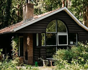 Charmant vakantiehuis in Lochem, Achterhoek, omgeven door groen en rust.