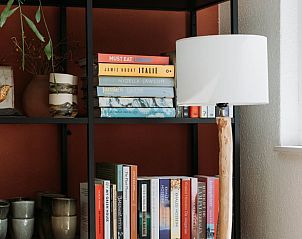 Boekenkast in vakantiehuis in Lochem, perfect voor ontspanning in de Achterhoek.