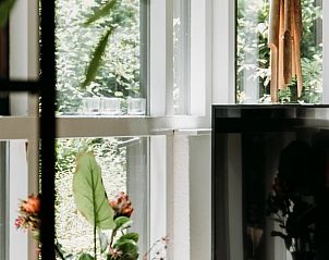 Groene omgeving zichtbaar vanuit het vakantiehuis in Lochem, Achterhoek.