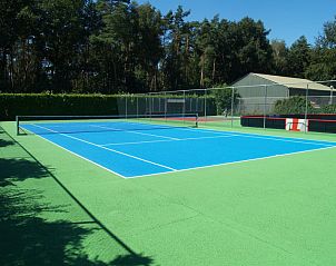 Minigolfbaan met uitdagende hindernissen bij Vakantiehuis L-Pavilion 6, Lochem, Achterhoek.