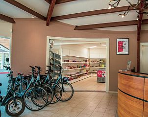 Fietsenverhuur bij Vakantiehuis De Wiersse 6, Lochem, Achterhoek, Gelderland, met winkelruimte.