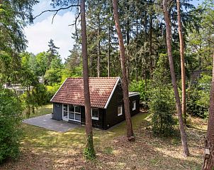 Rustiek vakantiehuis Huisje in Lochem omgeven door bosrijke natuur in de Achterhoek.