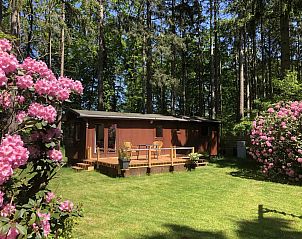 Unterkunft 2921217 • Ferienhaus Achterhoek • Knus 4 persoons chalet met terras in het bos bij Lochem 