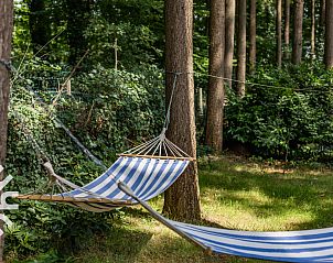 Vogelhuisje in de natuur bij DG1545 vakantiehuis in Lochem, Achterhoek, Gelderland.