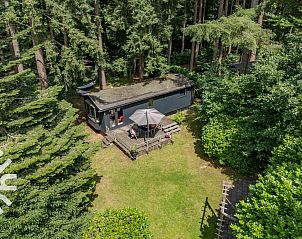 Uitzicht over de groene omgeving van DG1545 vakantiehuis in Lochem, Achterhoek, Gelderland.