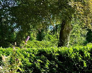 Verblijf 2921219 - Vakantiewoning Achterhoek - Vakantiehuis in Lochem