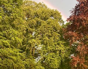 Verblijf 2921219 - Vakantiewoning Achterhoek - Vakantiehuis in Lochem