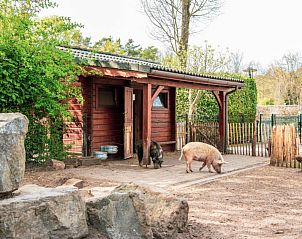 Guest house 2921230 - Holiday property Achterhoek - Vakantiehuis Hackfort l'etage 8