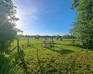 Groene weide bij Vakantiehuisje in Lochem, ideaal voor buitenactiviteiten in de Achterhoek, Gelderland.