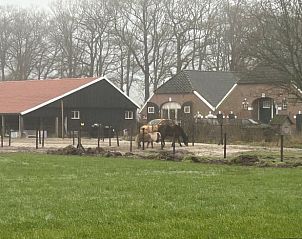 Guest house 2921252 • Holiday property Achterhoek • Huisje in Lochem 