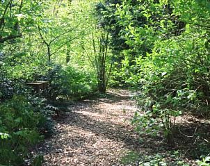 Bosrijke wandelpaden rondom Vakantiehuis in Lochem in de Achterhoek, Gelderland.