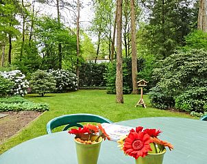 Verblijf 292135 - Vakantiewoning Achterhoek - Vakantiehuis 2+