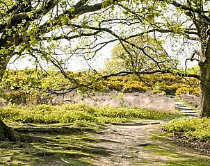 Vakantiehuis 4L in Lochem heeft energielabel C, milieuvriendelijke keuze.