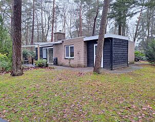 Buitenaanzicht van Vakantiehuis 4L in Lochem, Achterhoek, Gelderland, omringd door groene natuur voor een ontspannen vakantie.