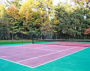 Groene tuinomgeving van Vakantiehuis 4L, Lochem, Achterhoek, perfect voor natuurliefhebbers in Gelderland.