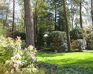 Buitenterras van Vakantiehuis 4L in Lochem, Achterhoek, ideaal voor zonnige dagen en ontspanning in Gelderland.