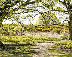 Energielabel C van Vakantiehuis 4L in Lochem, Achterhoek, een milieuvriendelijke keuze voor een verblijf in Gelderland.