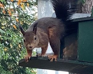 Guest house 292167 - Holiday property Achterhoek - Vakantiehuisje in Lochem