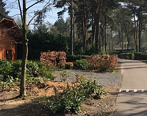 Verblijf 292174 - Chalet Achterhoek - 330