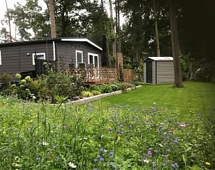 Vakantiehuisje in Lochem met bloeiende tuin en terras in de Achterhoek, Gelderland.