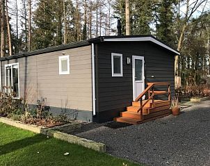 Zijaanzicht van het Vakantiehuisje in Lochem, omgeven door natuur in de Achterhoek.