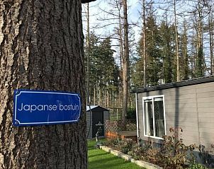 Ingang naar de Japanse bostuin bij Vakantiehuisje in Lochem, Achterhoek.