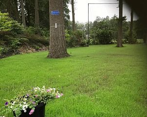 Groene tuin met bloemen bij Vakantiehuisje in Lochem, ideaal voor ontspanning.