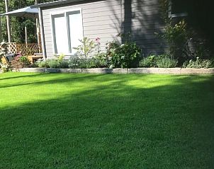 Gazon en bloemen bij Vakantiehuisje in Lochem, perfect voor natuurliefhebbers.