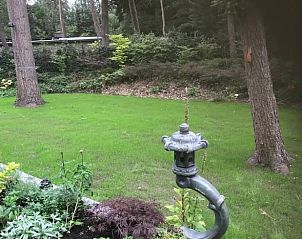 Rustieke tuin met lantaarn bij Vakantiehuisje in Lochem, Achterhoek.