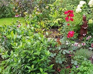 Weelderige tuin met diverse planten bij Vakantiehuisje in Lochem, Gelderland.