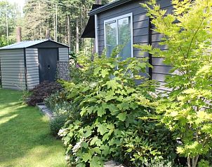 Schuurtje en groene omgeving bij Vakantiehuisje in Lochem, Achterhoek.