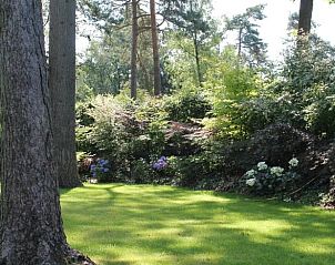 Groene tuin met bomen bij Vakantiehuisje in Lochem, ideaal voor rustzoekers.