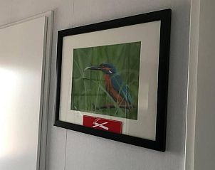 Vogelkunst aan de muur in Vakantiehuisje in Lochem, Achterhoek.