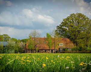 Vacation home in Lochem surrounded by green nature and flowering fields in Achterhoek, Gelderland. Perfect rustic vacation home.