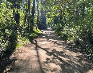 Wooded area at Holiday home in Lochem, Achterhoek, Gelderland, ideal for nature lovers.