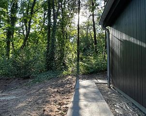 Paved paths around Holiday home in Lochem, Achterhoek, Gelderland, in green surroundings.