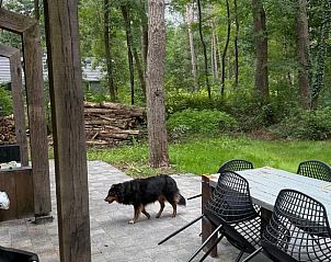 Outdoor area of Holiday Home in Lochem, Achterhoek, Gelderland, with terrace and green garden.