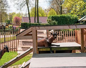 Guest house 292194 - Holiday property Achterhoek - Vakantiehuis L'Avenir 4