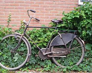 Guest house 292205 - Holiday property Achterhoek - Vakantiehuisje in Hengelo-Gld