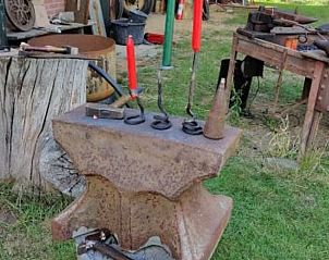 Guest house 292205 - Holiday property Achterhoek - Vakantiehuisje in Hengelo-Gld