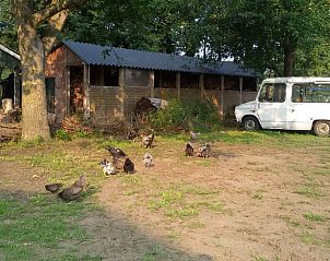 Guest house 292206 - Holiday property Achterhoek - Vakantiehuisje in Hengelo-Gld